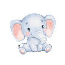 Daxiang Paid VPN, 大象付费VPN