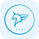 Feima Paid VPN, 飞马付费VPN