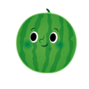 Watermelon Paid VPN, 西瓜付费VPN